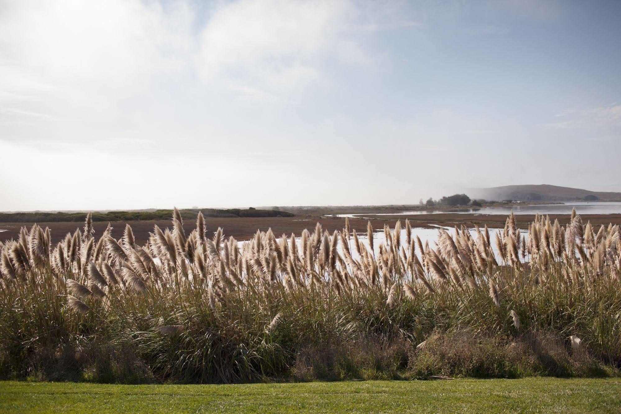 The Lodge At Bodega Bay Exterior foto